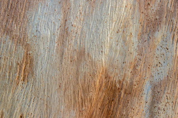 Poškrábané textury povrchu dřeva — Stock fotografie