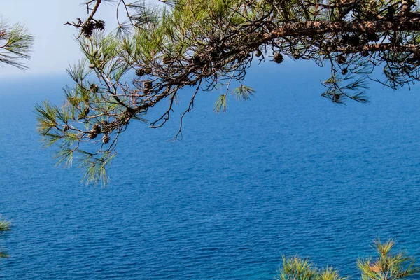 Ett smalt landskap skjuter av Egeiska havet med treeförgrena sig Royaltyfria Stockfoton