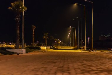 kıyı yolundan bir gece çekimi - palmiye ağaçları ve şehir ışıkları