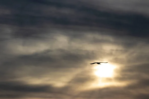 yoğun bulutlar ile altın güneşin bir skyscape ateş ve var 