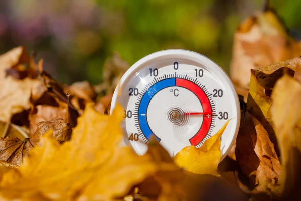 Termômetro Livre Com Escala Celsius Folhas Bordo Douradas Mostrando Temperatura — Fotografia de Stock