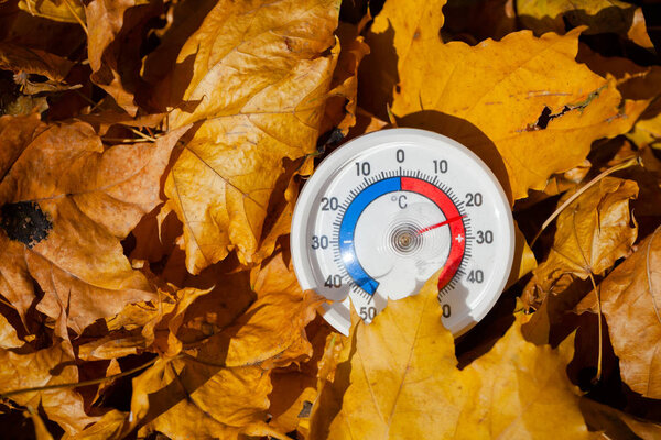 Наружный термометр с шкалой Цельсия в золотых кленовых листьях с теплой температурой - жаркое индийское лето или концепция глобального потепления
