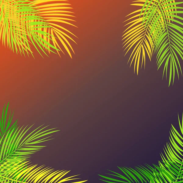 Sommer Zeit Palmblatt Vektor Hintergrund Illustration — Stockvektor