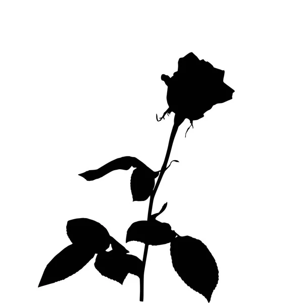 Black and white silhouette of rose. Isolated on White Background. vector Illustration — Stock Vector