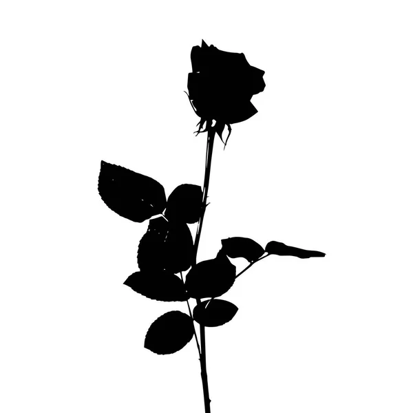 Arte flor negra de dibujo imágenes de stock de arte vectorial - Página 46 | Depositphotos Arte flor negra de dibujo imágenes de stock de arte vectorial - Página 46 | Depositphotos