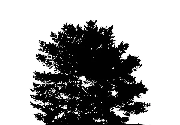 Tree Silhouette Isolated on White Backgorund. Vecrtor Illustration — Stock Vector