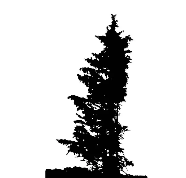 Η Σιλουέτα του Δέντρου απομονώθηκε στο Γουάιτ Μπάκγκορουντ. Εικονογράφηση διανύσματος — Διανυσματικό Αρχείο