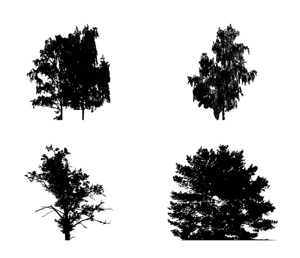 Sada Tree Silhouette Izolované na White Backgorund. Ilustrace vektoru — Stockový vektor