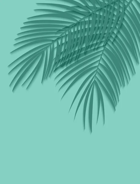 Gyönyörű Palm levél háttér. Vektoros illusztráció — Stock Vector