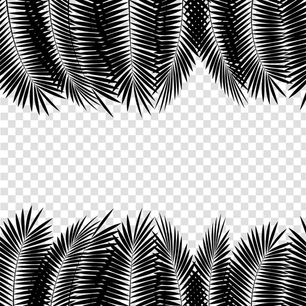 Black Palm Leaf on White Background. Vector Illustration — Stock Vector
