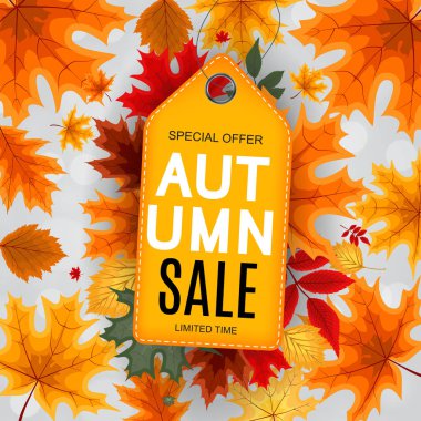 Düşen sonbahar yaprakları ile soyut vektör çizim sonbahar satış arka plan