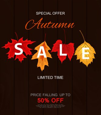 Düşen sonbahar yaprakları ile soyut vektör çizim sonbahar satış arka plan