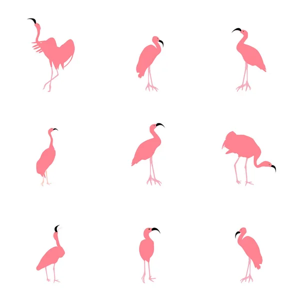 Reihe schöner farbiger Vektorillustrationen von Flamingos in verschiedenen Posen — Stockvektor