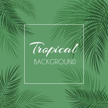 Güzel Palm yaprak arka plan. Vektör çizim