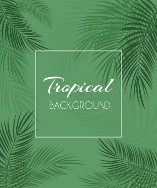 Güzel Palm yaprak arka plan. Vektör çizim