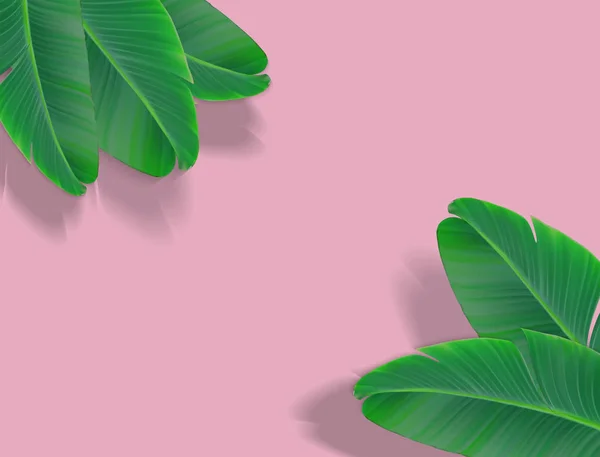 Schönen Palmblatt Hintergrund Vektorillustration Eps10 — Stockvektor