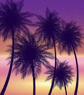 Soyut yaz doğal Palm arka plan vektör çizim