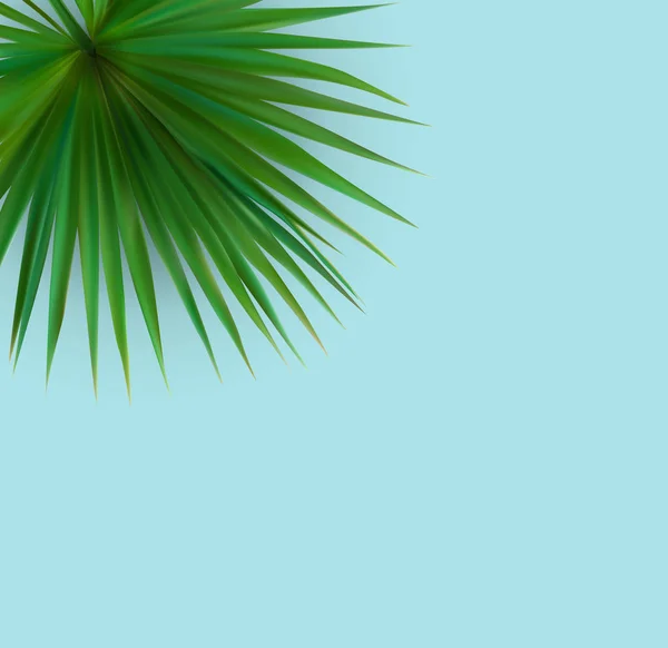 Lindo Palm Leaf Tropical Background. Ilustração vetorial —  Vetores de Stock