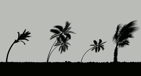Fırtına ve kasırga sırasında palmiye ağaçları. Yaprakları bir fırtınadan gökyüzünde uçmak. Vektör çizim — Stok Vektör