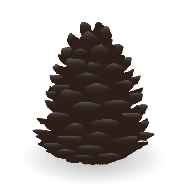 Cartoon Fir Cone Isolated on White Background. Vector Illustration — Stock Vector