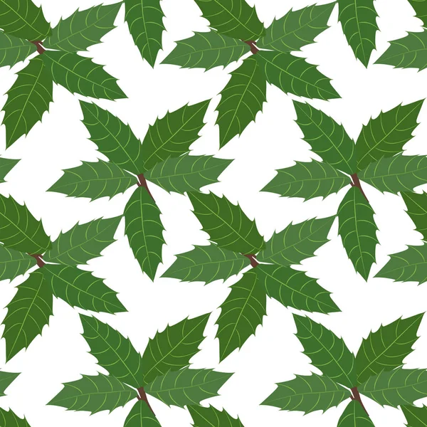 녹색 나뭇잎 홀리 식물 배경. 원활한 패턴 — 스톡 벡터