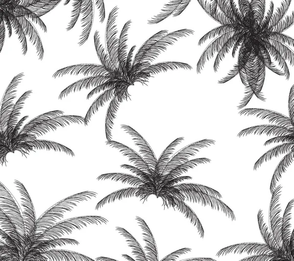Palm siluett på vit bakgrund. Vektorillustration — Stock vektor