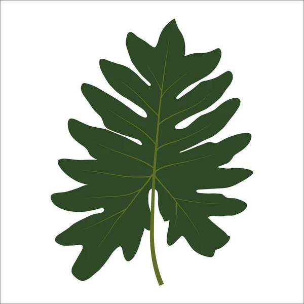 Zielony liść na białym tle. Ilustracja wektorowa — Wektor stockowy