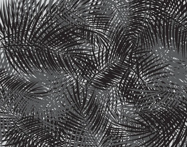 Векторный фон черно-белой пальмы — стоковый вектор