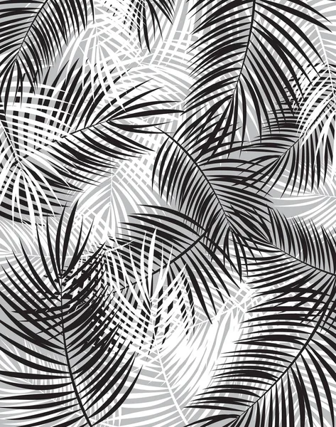 Black and White Palm Leaf Vector Background Illustration — Stock Vector