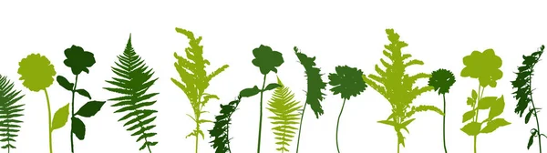 Fougère Brindille Verte Colorée Autres Plantes Nature Illustration Vectorielle Pse10 — Image vectorielle