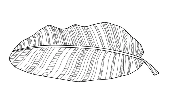 Abstraktes Tropisches Bananenblatt Vektorabbildung Eps10 — Stockvektor
