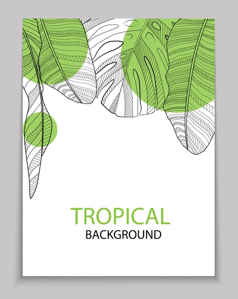 Soyut Tropikal Muz Monstera Palm Tropikal Arka Plan Bırakır Vektör — Stok Vektör