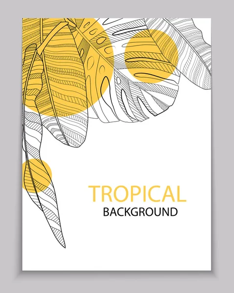 Abstrato Banana Tropical Palmeira Monstera Deixa Fundo Tropical Ilustração Vetorial — Vetor de Stock