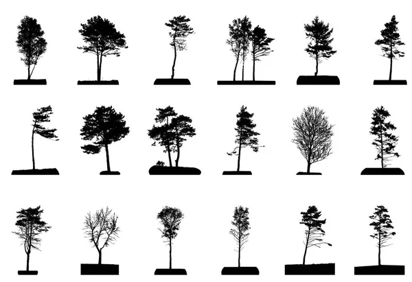 Set Tree Silhouettes White Background — Stock Vector
