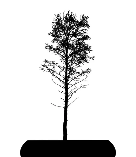 Silueta Árbol Aislada Sobre Fondo Blanco — Vector de stock