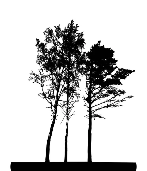 Silhouette Arbre Isolé Sur Fond Blanc — Image vectorielle