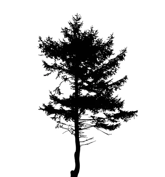 Silhueta Árvore Isolada Fundo Branco — Vetor de Stock