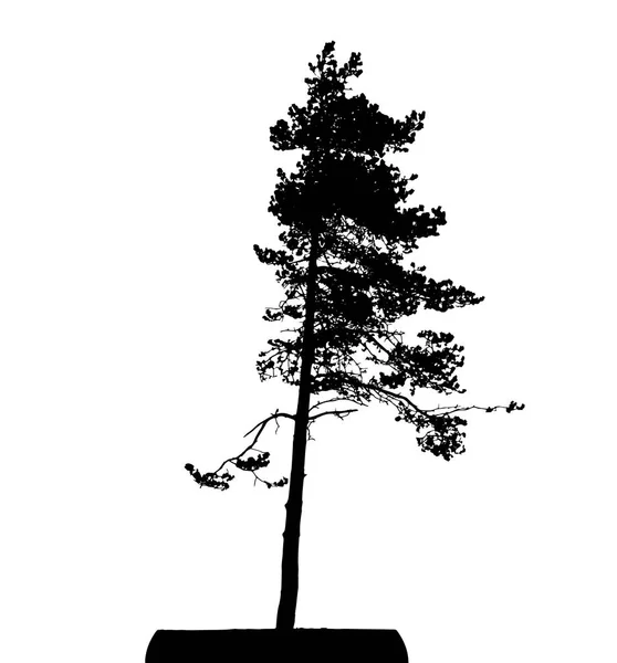 Silueta Árbol Aislada Sobre Fondo Blanco — Vector de stock