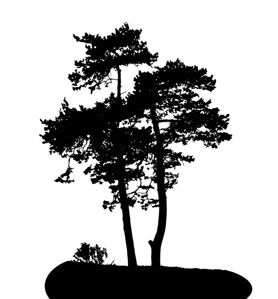 Silueta Stromu Izolované Bílém Pozadí — Stockový vektor