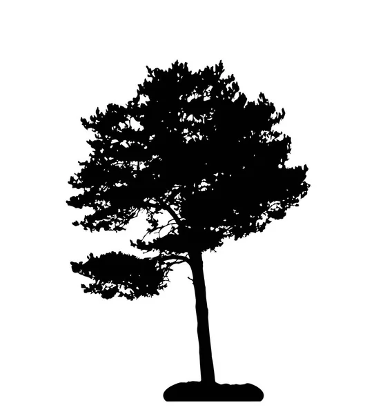 Silueta Árbol Aislada Sobre Fondo Blanco — Vector de stock