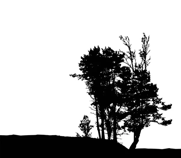 Baumsilhouette Isoliert Auf Weißem Hintergrund — Stockvektor