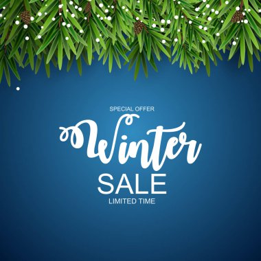 Kış indirimi arka plan özel fırsat afiş arka plan iş ve reklam için. Vektör çizim. Eps10 