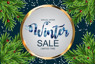 Kış indirimi arka plan özel fırsat afiş arka plan iş ve reklam için. Vektör çizim. Eps10 