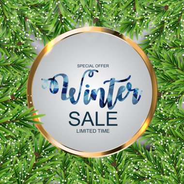 Kış indirimi arka plan özel fırsat afiş arka plan iş ve reklam için. Vektör çizim. Eps10 
