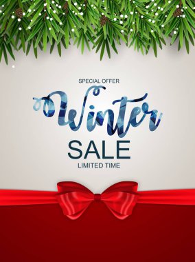 Kış indirimi arka plan özel fırsat afiş arka plan iş ve reklam için. Vektör çizim. Eps10 