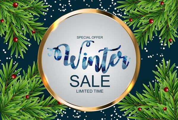 Kış indirimi arka plan özel fırsat afiş arka plan iş ve reklam için. Vektör çizim. Eps10 