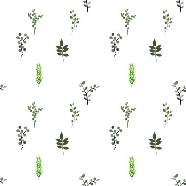 seamless modeli. Tropikal öğeleri: Agonis, okaliptüs, Annona, Balata, Zamiokulkas, Cissus. Renkli doğal resimler. Vektör çizim. Eps10