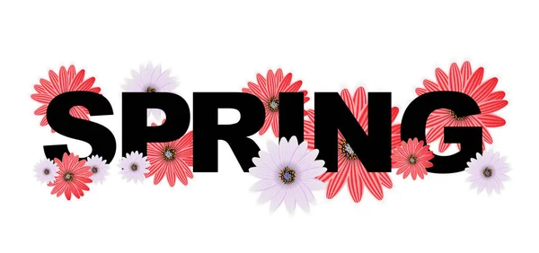 Bonjour printemps bannière salutations fond de conception avec coloré F — Image vectorielle