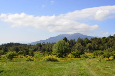 Slavyanka Milli Parkı (Ali Botush rezervasyon) Bulgaristan