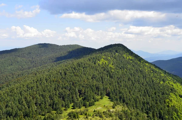Slavyanka Nationaal Park Ali Botush Reserveren Bulgarije — Stockfoto